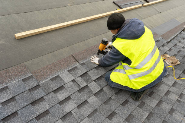 Best Local Roofing Companies  in Lake Orion, MI