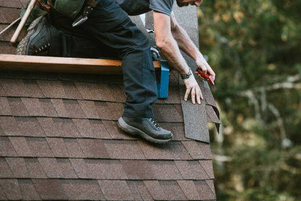 Best Roof Installation Near Me  in Lake Orion, MI